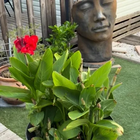 Кемпинг My Freedom