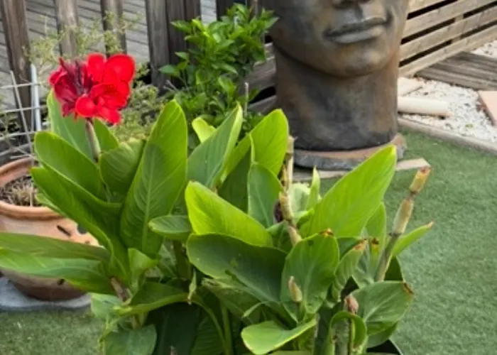 Кемпинг My Freedom